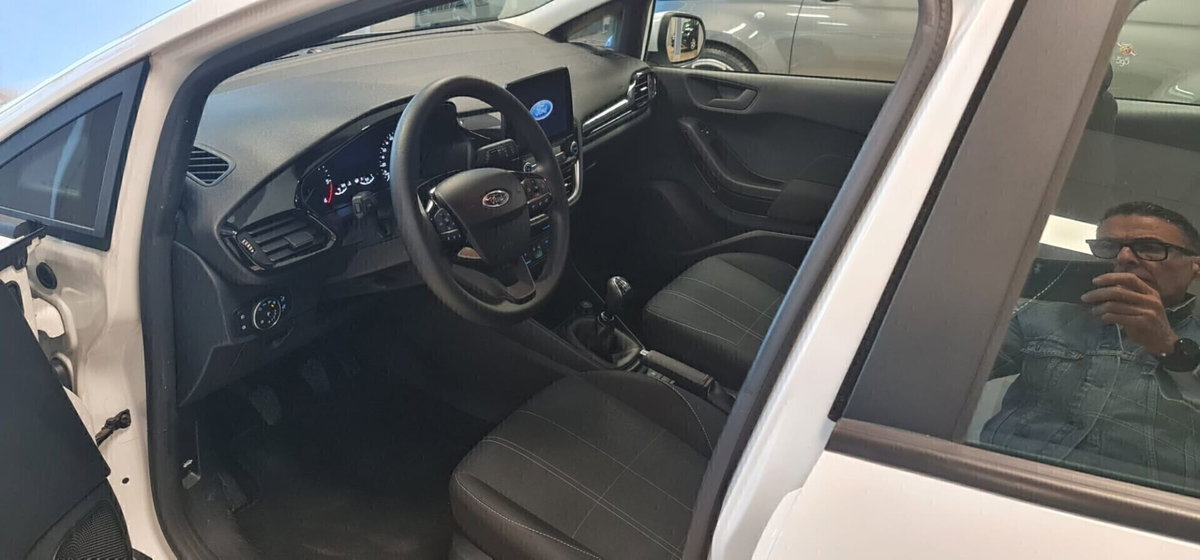 Ford Fiesta 1.5 EcoBlue 5 porte Business High (9)