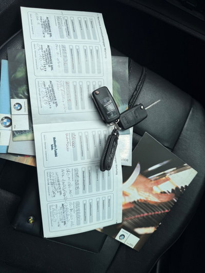 BMW X3 3.0d cat Futura (19)