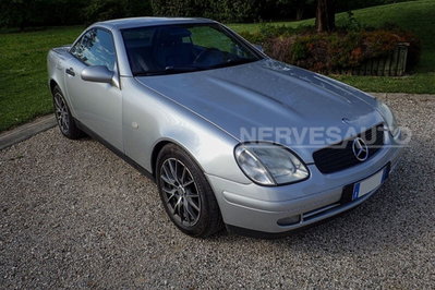 Mercedes-Benz SLK 200 cat (3)