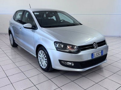 Volkswagen Polo 1.2 TDI DPF 5 p. Comfortline (3)