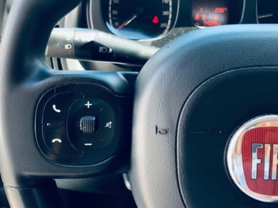 Fiat Panda 1.0 firefly hybrid s&s 70cv 5p.ti (15)