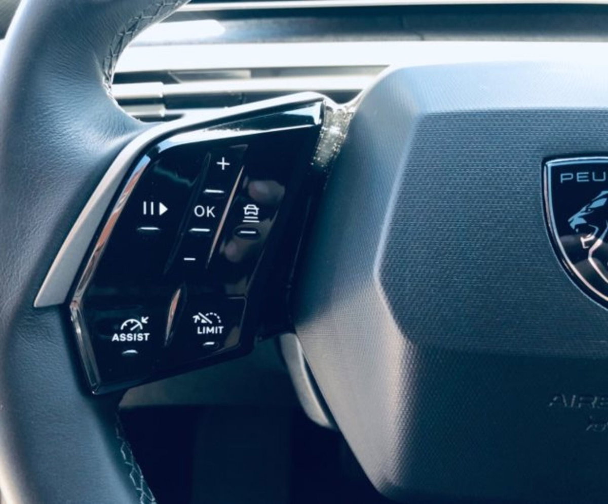 Peugeot 3008 1.2 hybrid Allure Business 145cv e-dcs6 (7)