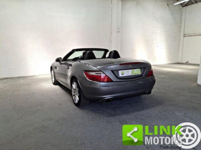 Mercedes-Benz SLK 250 BlueEFFICIENCY Sport (12)