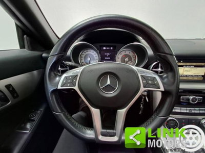 Mercedes-Benz SLK 250 BlueEFFICIENCY Sport (5)