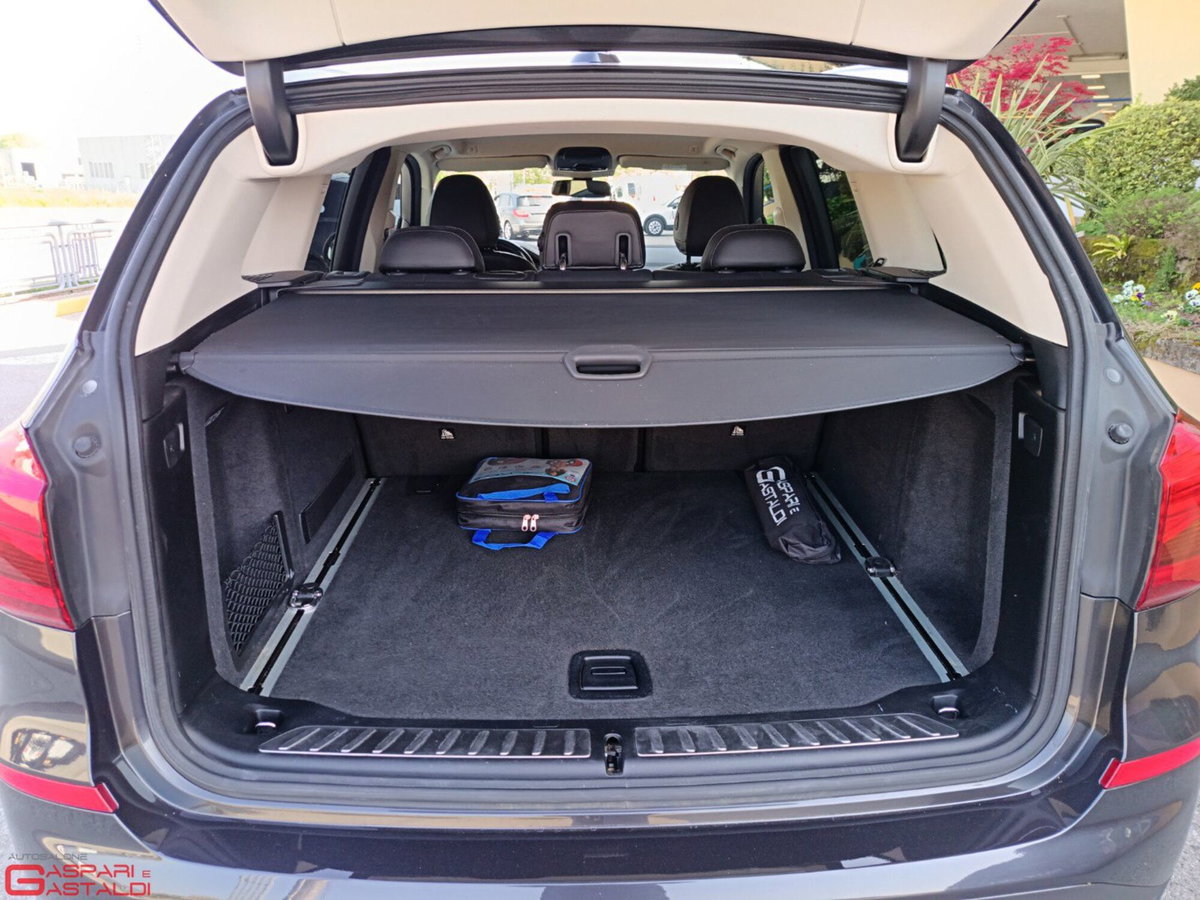 BMW X3 xDrive20d Business Advantage Aut. (5)