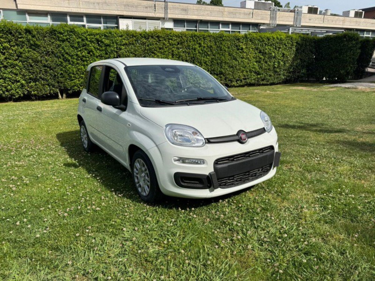 Fiat Pandina 1.0 firefly hybrid Icon s&s 65cv
