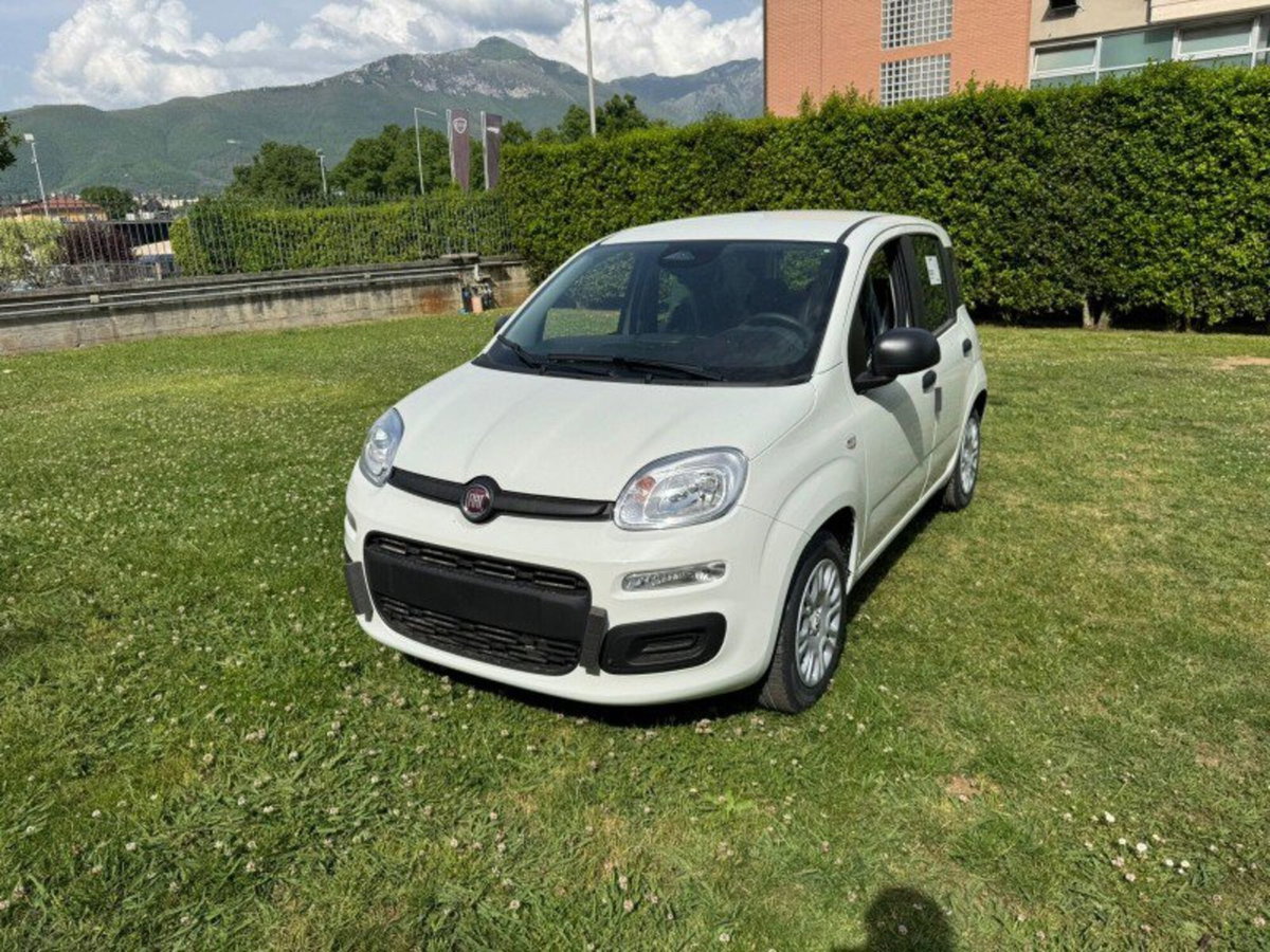Fiat Pandina 1.0 firefly hybrid Icon s&s 65cv (2)