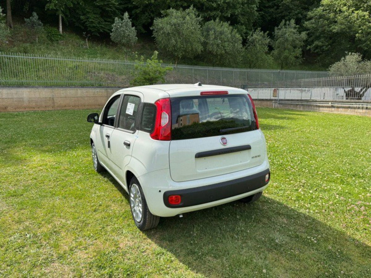 Fiat Pandina 1.0 firefly hybrid Icon s&s 65cv (3)