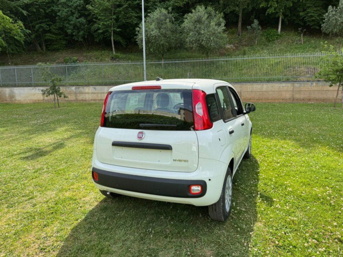 Fiat Pandina 1.0 firefly hybrid Icon s&s 65cv (4)