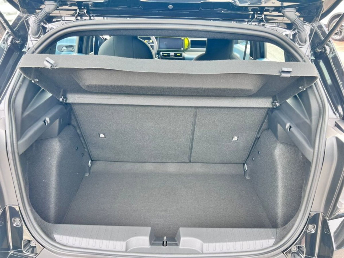Fiat Grande Panda 1.2 hybrid Icon 110cv edct (8)