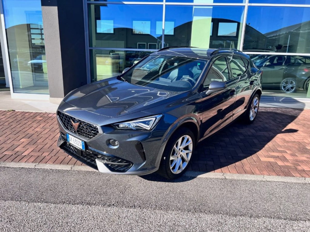 Cupra Formentor Formentor 2.0 tdi 4drive 150cv dsg