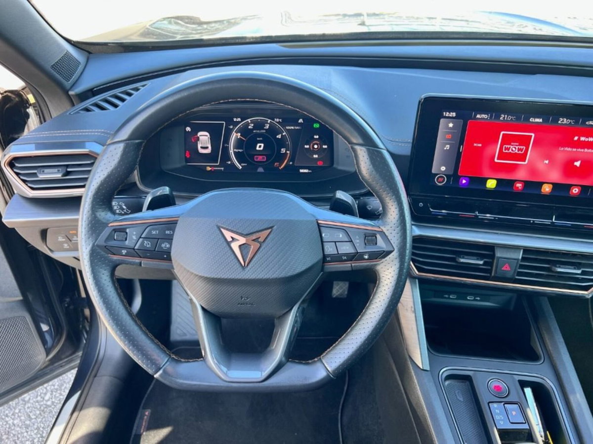 Cupra Formentor Formentor 2.0 tdi 4drive 150cv dsg (11)