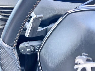 Peugeot 3008 PureTech Turbo 130 S&S EAT8 GT (14)