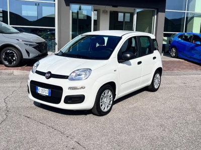Fiat Panda 1.0 firefly hybrid Icon s&s 70cv nuova