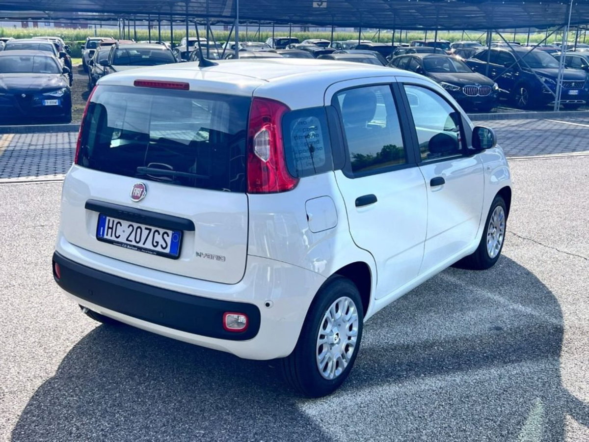 Fiat Panda 1.0 firefly hybrid Icon s&s 70cv (3)