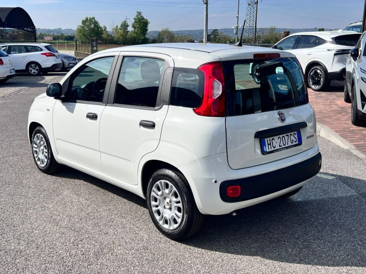 Fiat Panda 1.0 firefly hybrid Icon s&s 70cv (4)