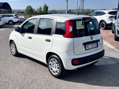 Fiat Panda 1.0 firefly hybrid Icon s&s 70cv (4)