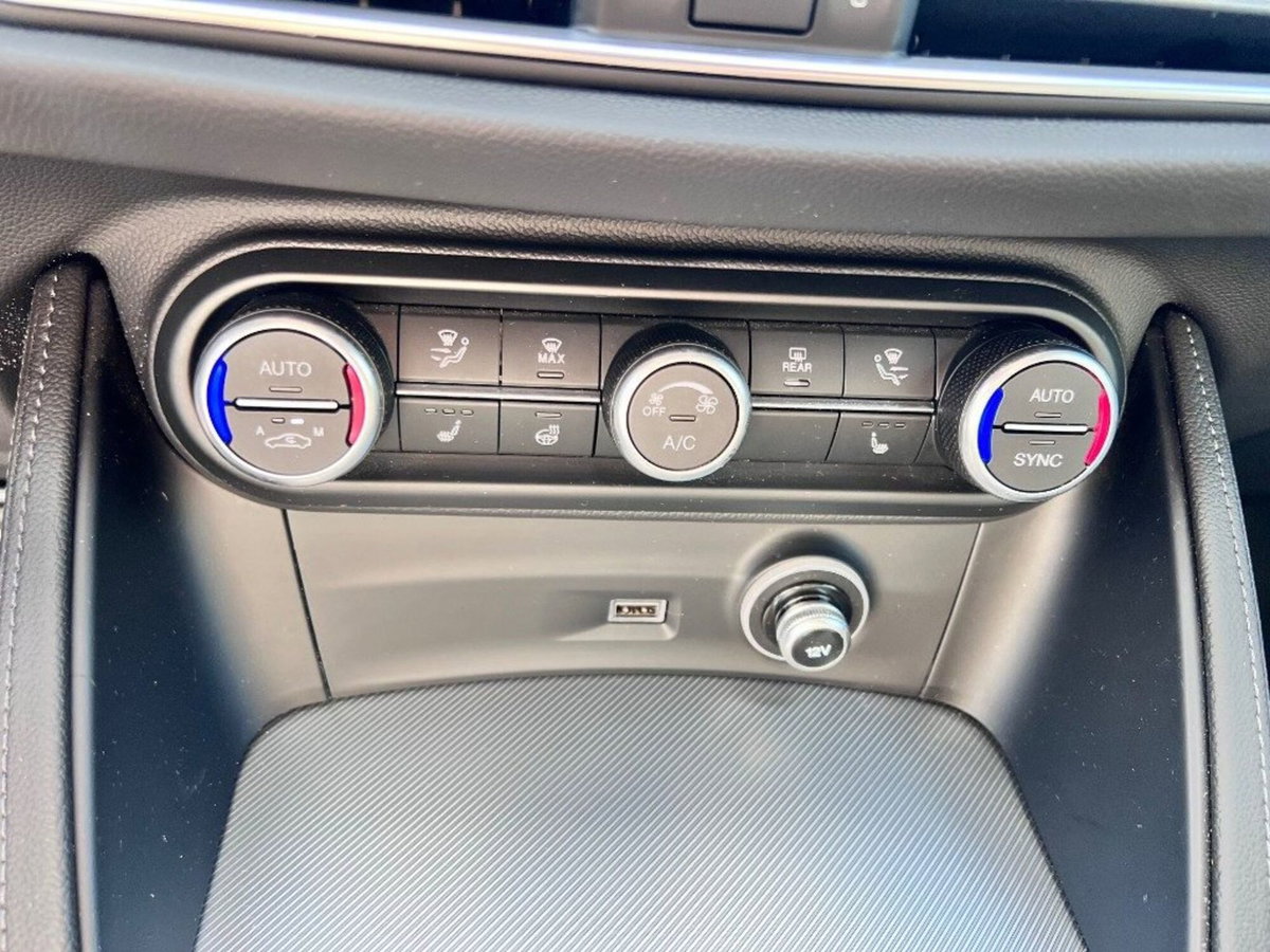 Alfa Romeo Stelvio Stelvio 2.2 Turbodiesel 210 CV AT8 Q4 Veloce Tì (11)