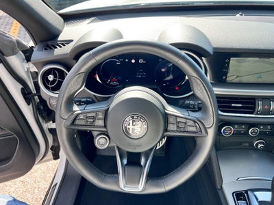 Alfa Romeo Stelvio Stelvio 2.2 Turbodiesel 210 CV AT8 Q4 Veloce Tì (12)