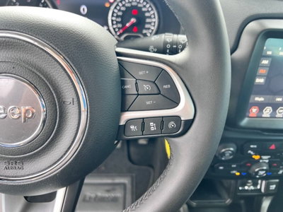 Jeep Renegade 1.6 Mjt 130 CV Limited (13)