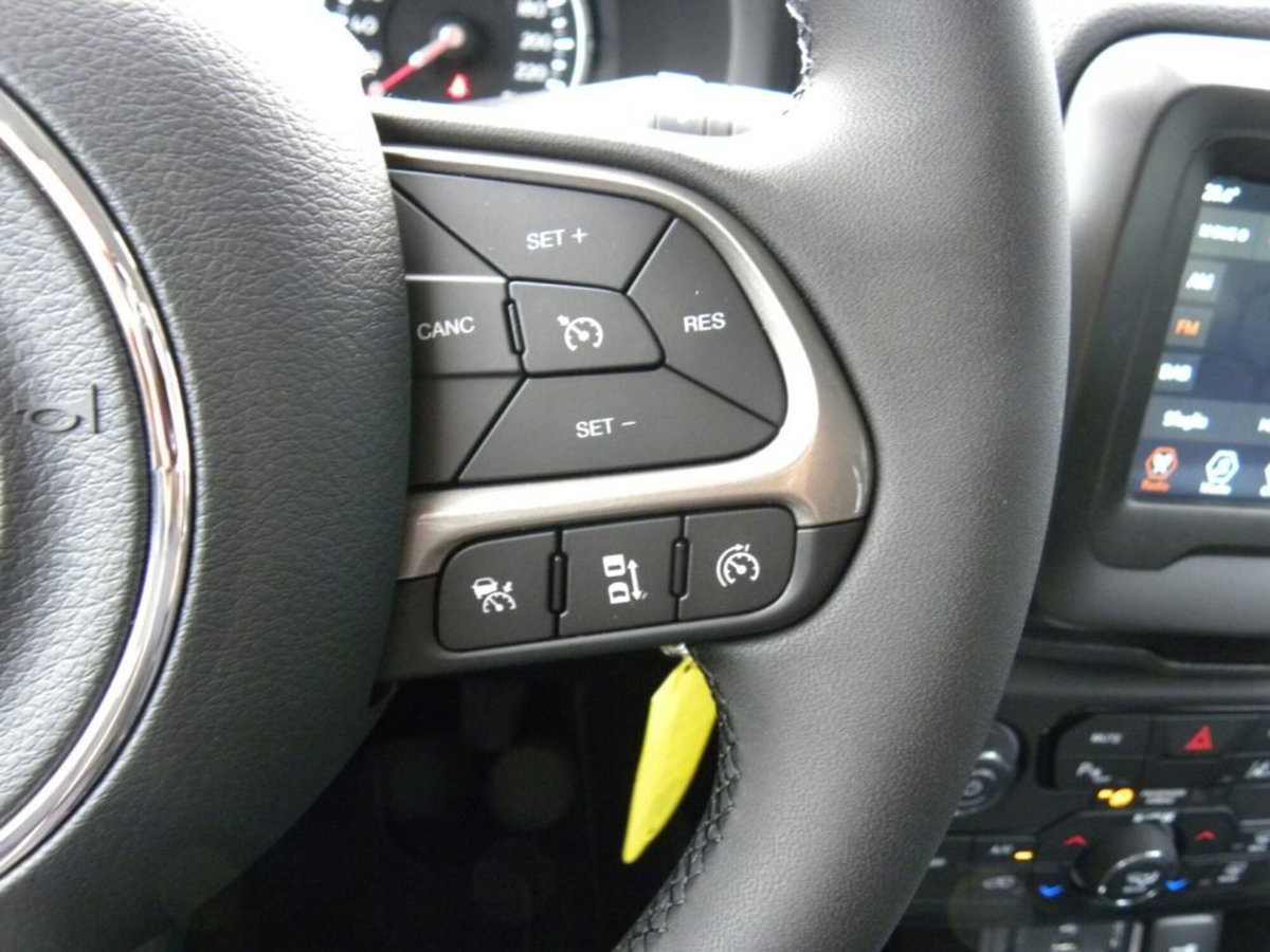 Jeep Renegade 1.5 Turbo T4 MHEV Limited (15)