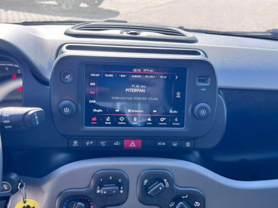 Fiat Panda 0.9 TwinAir Turbo S&S 4x4 Wild (10)