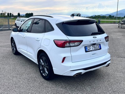 Ford Kuga 1.5 EcoBlue 120 CV aut. 2WD ST-Line (4)