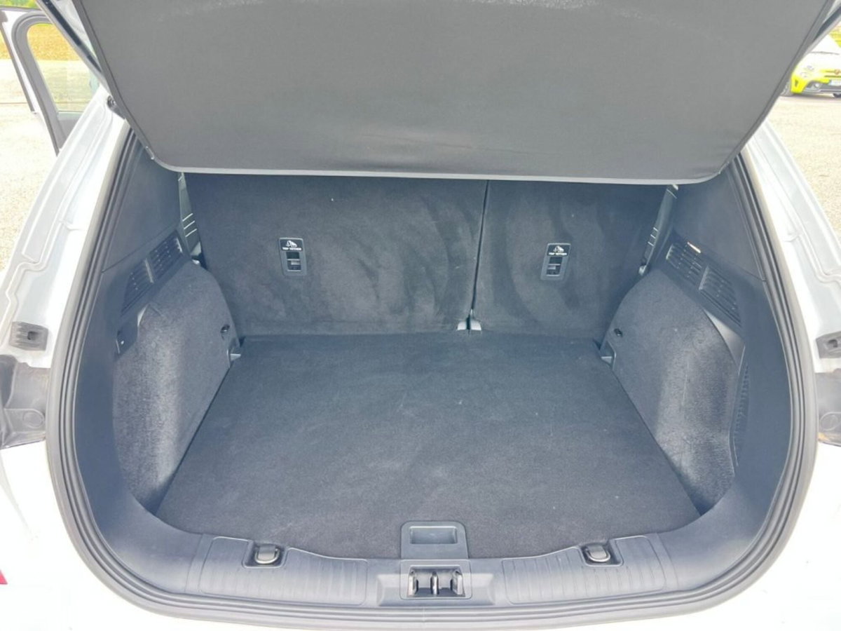 Ford Kuga 1.5 EcoBlue 120 CV aut. 2WD ST-Line (8)