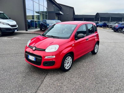 Fiat Panda 1.2 Easy Van 4 posti usata