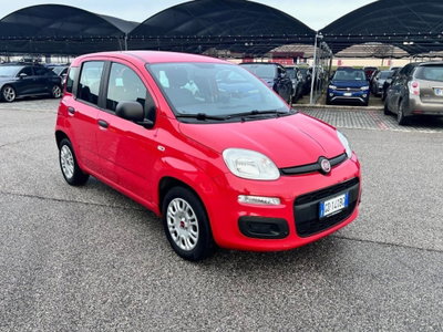 Fiat Panda 1.2 Easy Van 4 posti (2)