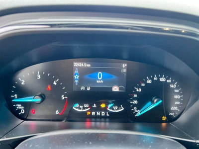 Ford Focus 1.5 EcoBlue 115 CV automatico 5p. ST-Line Style (14)