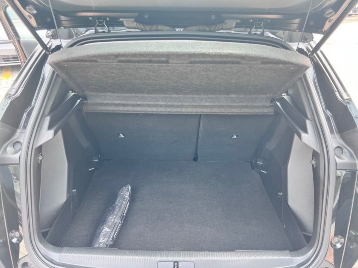 Peugeot 2008 PureTech 100 S&S Active (8)