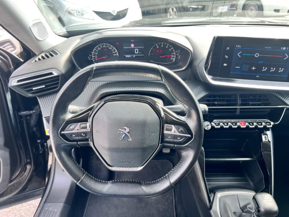 Peugeot 2008 PureTech 100 S&S Active (9)