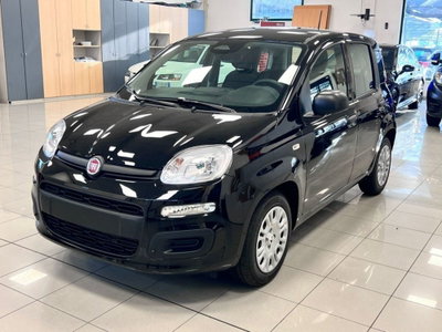 Fiat Panda 1.0 firefly hybrid Icon s&s 70cv nuova
