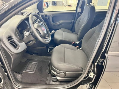 Fiat Panda 1.0 firefly hybrid Icon s&s 70cv (5)