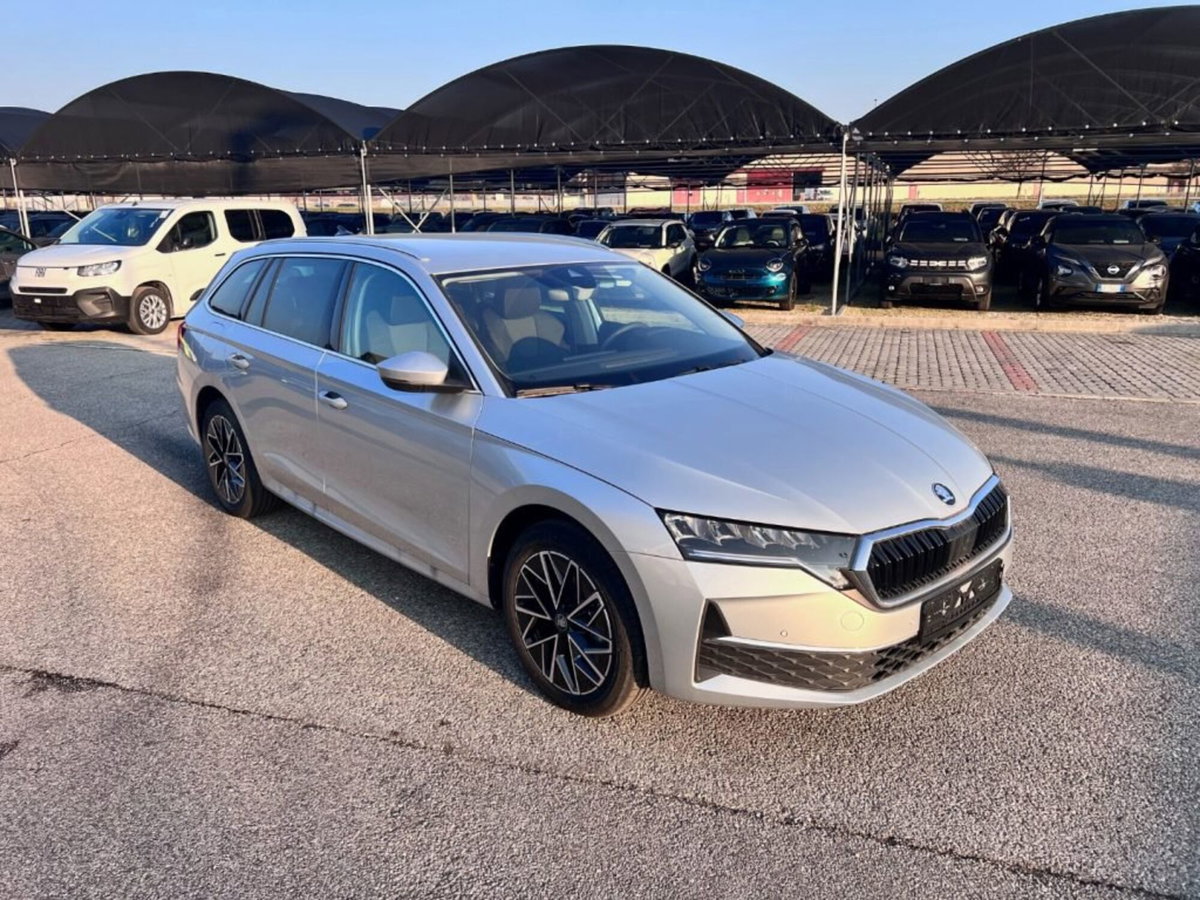Skoda Octavia Station Wagon 2.0 TDI EVO SCR 150 CV DSG 4x4 Wagon Executive (2)