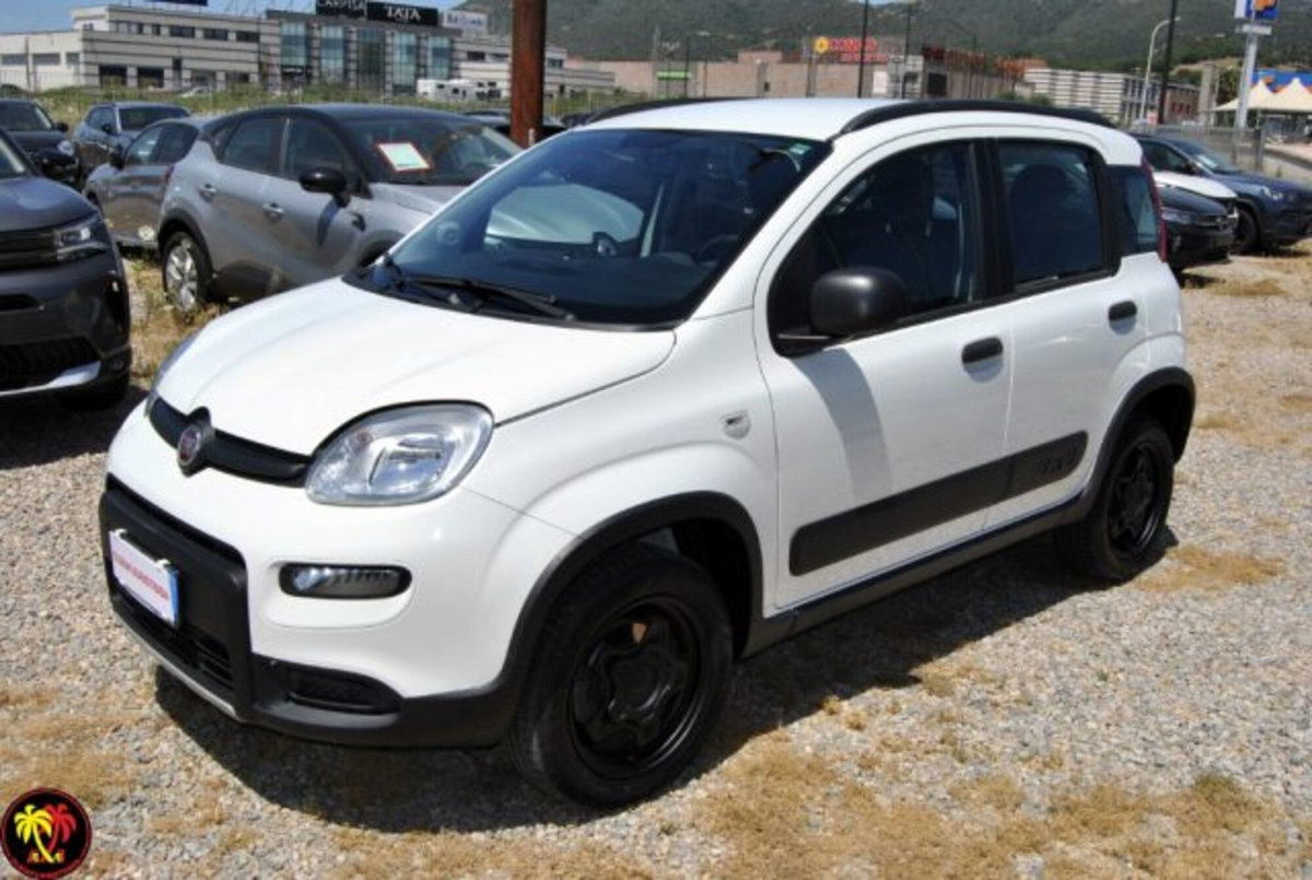 Fiat Panda 0.9 TwinAir Turbo S&S 4x4 (4)