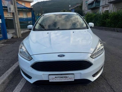 Ford Focus 1.0 EcoBoost 100 CV 5p. Business (2)