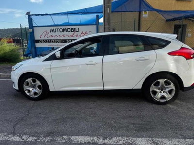 Ford Focus 1.0 EcoBoost 100 CV 5p. Business (4)