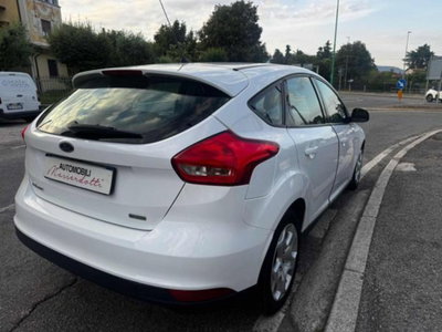 Ford Focus 1.0 EcoBoost 100 CV 5p. Business (5)