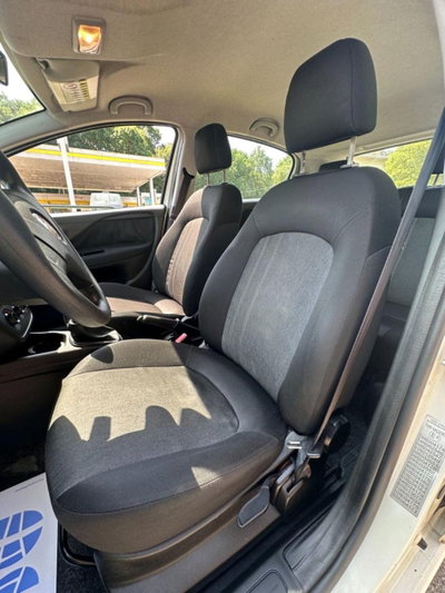 Fiat Punto 1.3 MJT II 75 CV 5 porte Street (10)