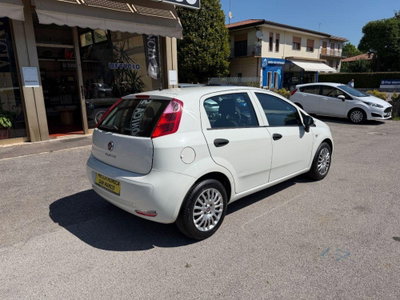 Fiat Punto 1.3 MJT II 75 CV 5 porte Street (4)