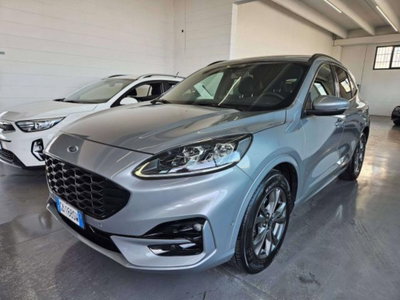 Ford Kuga 2.0 EcoBlue 190 CV aut. AWD ST-Line X (3)