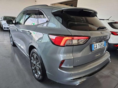 Ford Kuga 2.0 EcoBlue 190 CV aut. AWD ST-Line X (4)