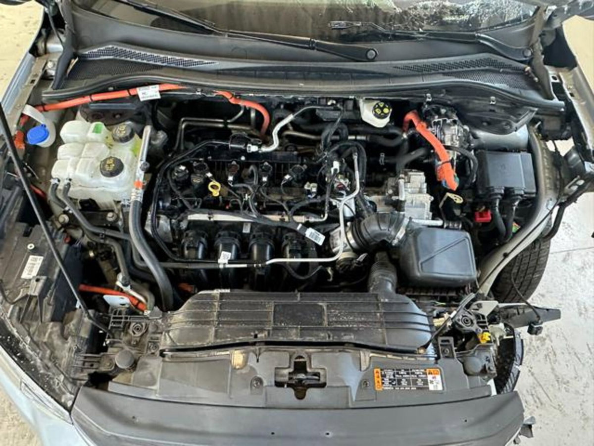 Ford Kuga 2.5 Full Hybrid 190 CV CVT 2WD ST-Line X (11)