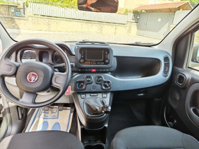 Fiat Panda 1.0 firefly hybrid s&s 70cv 5p.ti (10)