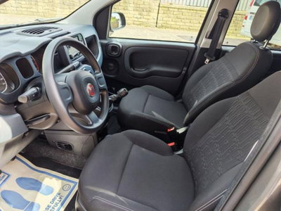 Fiat Panda 1.0 firefly hybrid s&s 70cv 5p.ti (8)
