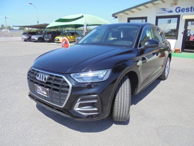 Audi Q5 40 TDI 204 CV quattro S tronic Business (6)