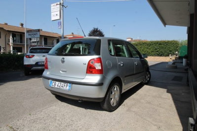 Volkswagen Polo 1.4 16V 5p. Trendline (3)