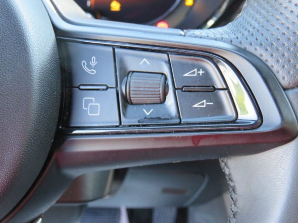 Alfa Romeo Tonale Tonale 1.6 diesel 130 CV TCT6 Ti (16)